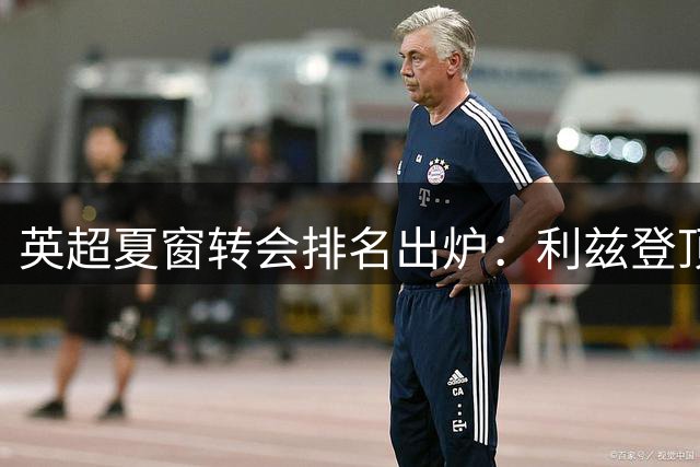 英超夏窗转会排名出炉：利兹登顶 曼城热刺跻身前十