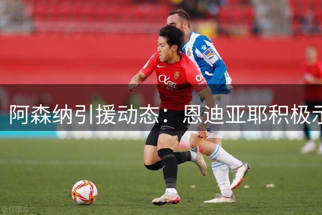 阿森纳引援动态：恩迪亚耶积极示好 曾关注加克波 目前聚焦福法纳